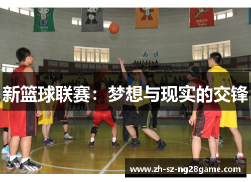 新篮球联赛：梦想与现实的交锋