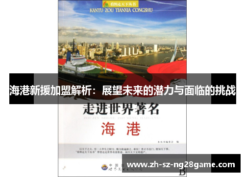 海港新援加盟解析：展望未来的潜力与面临的挑战