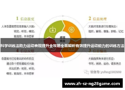 科学训练法助力运动表现提升全攻略全面解析有效提升运动能力的训练方法