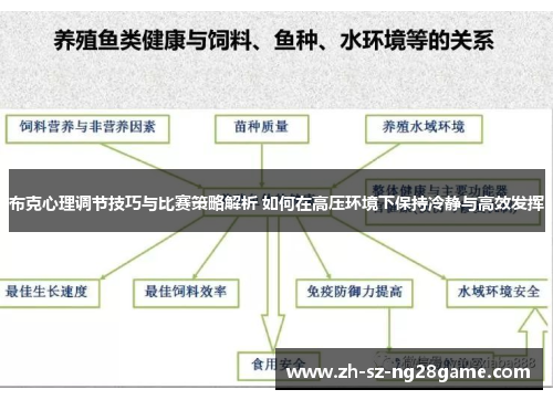 布克心理调节技巧与比赛策略解析 如何在高压环境下保持冷静与高效发挥