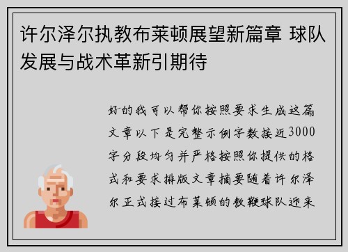 许尔泽尔执教布莱顿展望新篇章 球队发展与战术革新引期待
